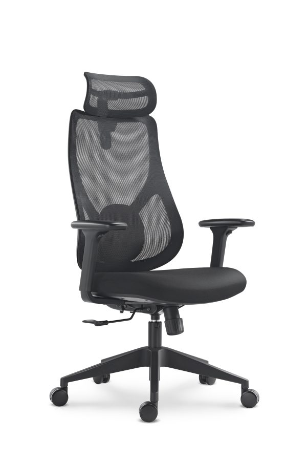 Sane Müdür Koltuğu